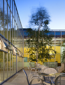 Glass-walled courtyard