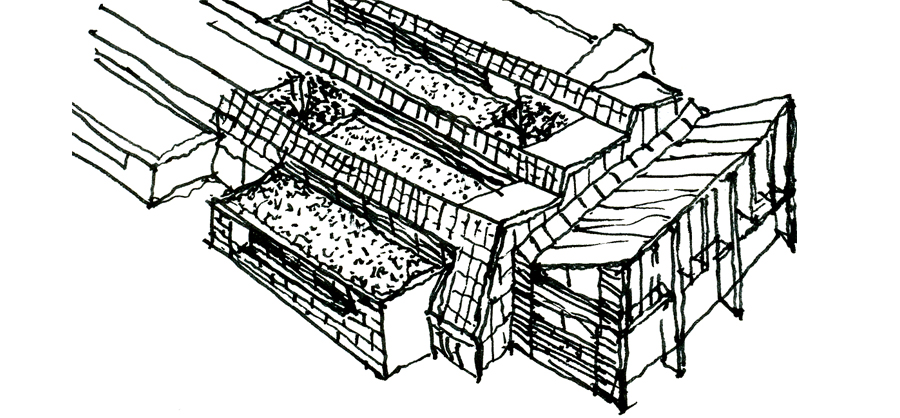 Newhall_sketch1 crop